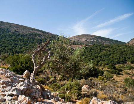 Panoramic landscape over  Mountains in Crete, Greece