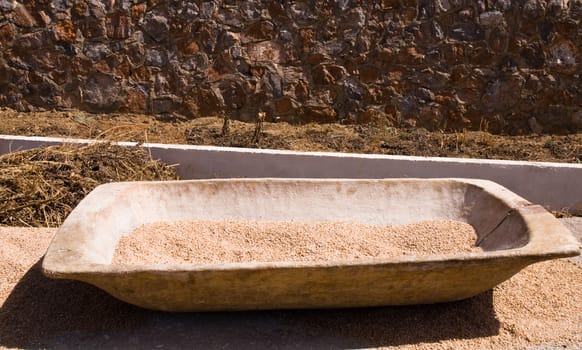 Ancient wooden trough with grain.