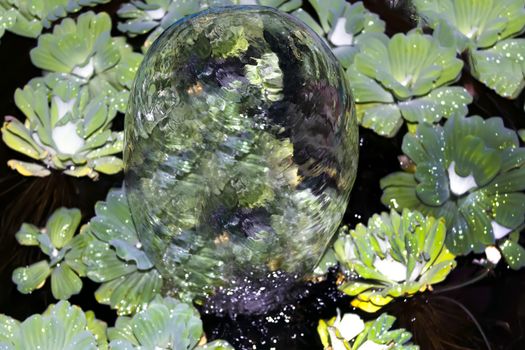 Water egg. Small fountain on the background of water plants.