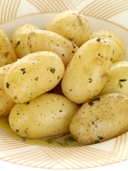 Bowl of New Potatoes