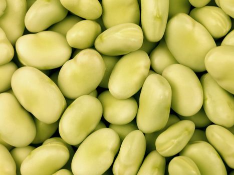 Broad Beans