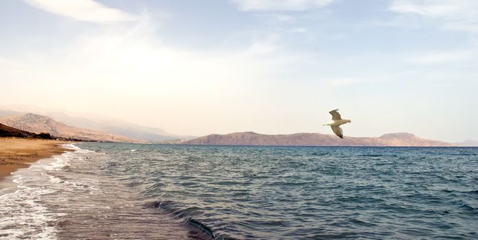 View of  blue bay . Crete, Greece .