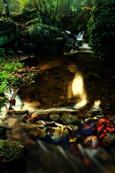 View of beautiful autumn set on a creek in Monchique, Portugal.