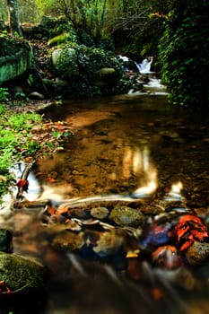 View of beautiful autumn set on a creek in Monchique, Portugal.