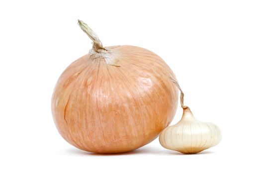 Different size of onions on white background
