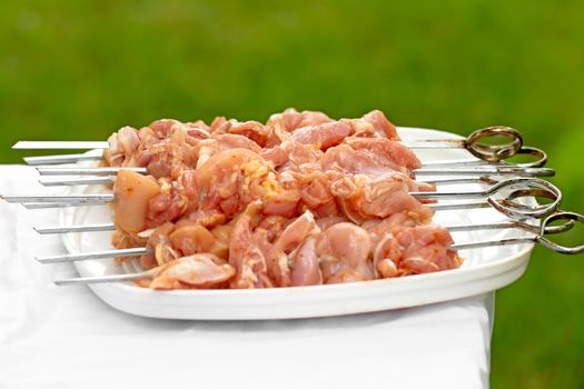 Raw skewered marinated chicken kebab ready for BBQ outdoor
