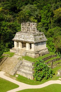 Ancient Mayan temple surrounded by lush green plant life at Palenque, Mexico
