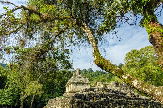 Trees framing an ancient Mayan temple at Palenque, Mexico