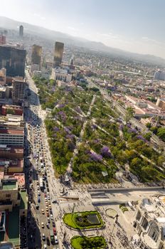 Vertical view of a green park and skyline of Mexico City