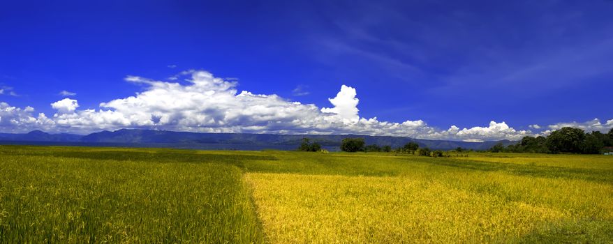 Village Landscape Panorama, Samosir Island. North Sumatra, Indonesia.