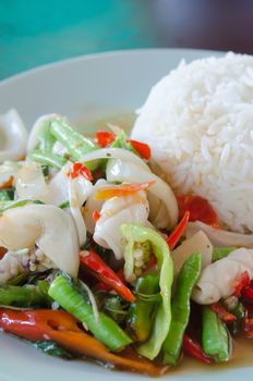 squid  fried with chili pepper and mix vegetable served with steamed  rice on dish