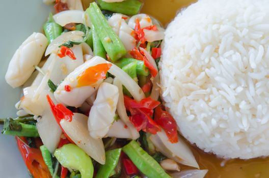 top view  squid  fried with chili pepper and mix vegetable served with steamed  rice on dish