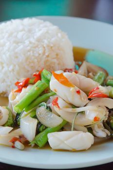 asian spicy cuisine ,  squid  fried with chili pepper ,  mix vegetable served with  rice 