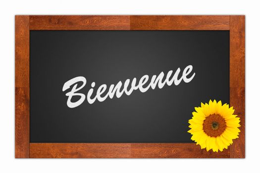 "Bienvenue" (Welcome) written in chalk on a blank blackboard with sunflower on wooden frame, isolated on white background
