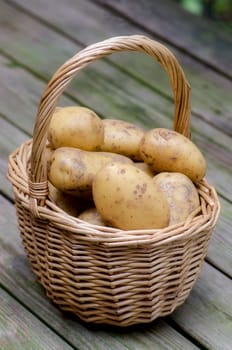 Potatoes in the basket.