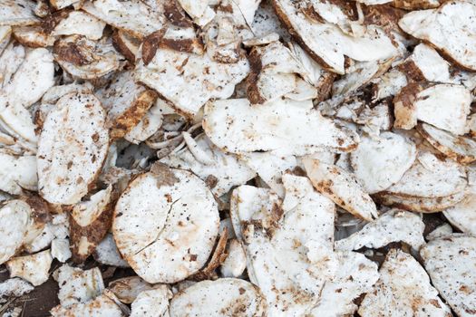 Close up view 
heap of the cassava root slice
