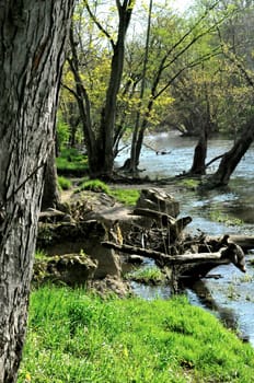 Morrows Meadow