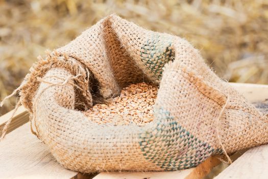 Compound Feed in sacks fodder for the animals