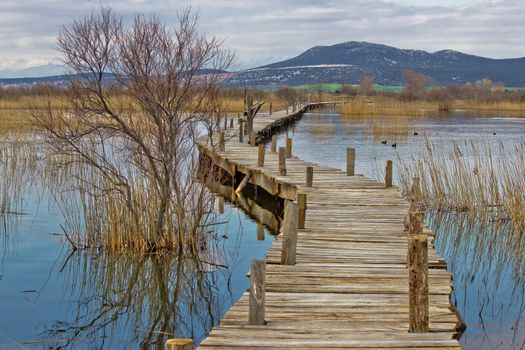 Vrana lake nature park wooden boardwalk of bird observatory, Dalmatia, Croatia