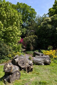 A view in Greenwich Park, London.