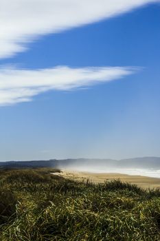 Morning mist on empty beach