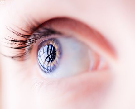 Macro of a blue female eye