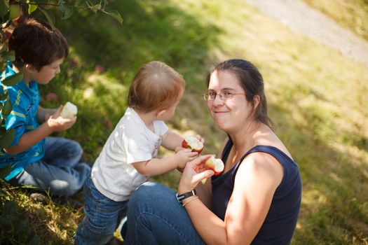 Family eating apples at the orchard