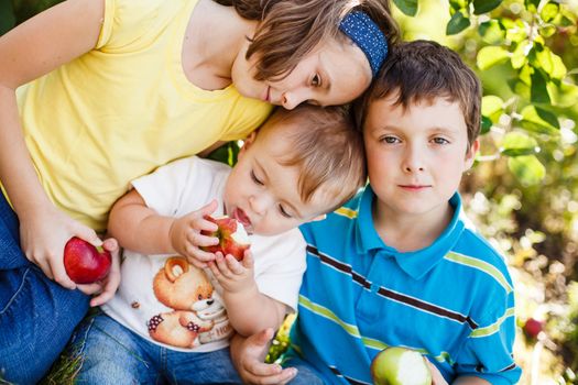 Family eating apples at the orchard