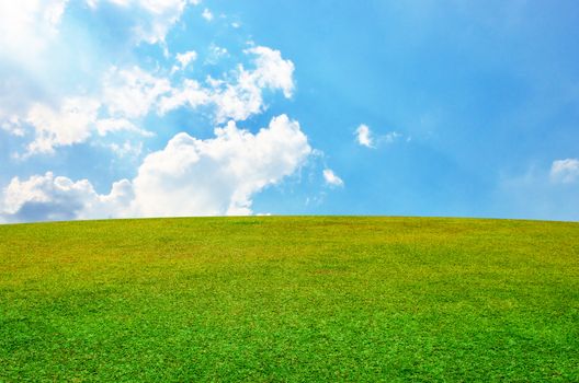 Grass field with nice sky background