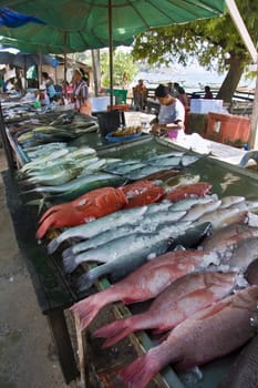 RAWAI, PHUKET, THAILAND - FEB 7TH: Fish market in Rawai on February 7th 2011. The market is operated by Moken an Austronesian ethnic group who have a sea based culture.