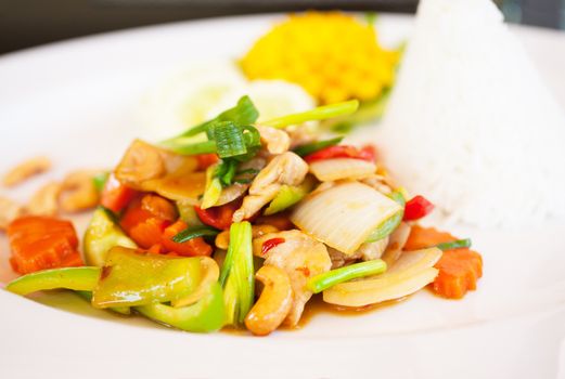 Chicken and cashew nuts, a classic Thai course. Shallow depth of field with the food in the center in focus.
