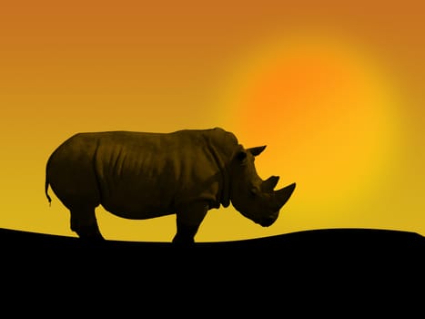 an african rhino in a sunset