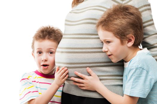 Pregnancy and new life concept - two little child boy brothers touching or bonding pregnant mother abdomen