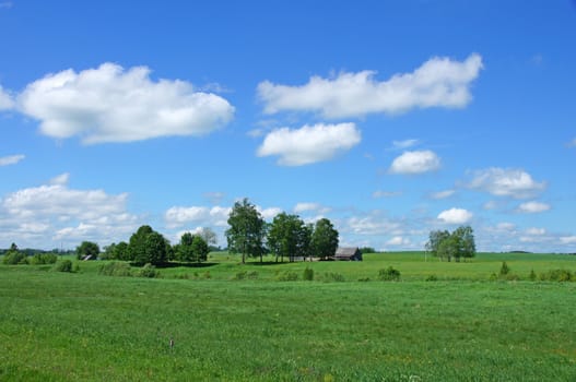 Landscape with the cloudy sky and plants