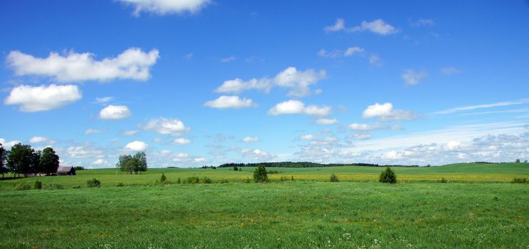 Meadow on a background of the sky and clouds