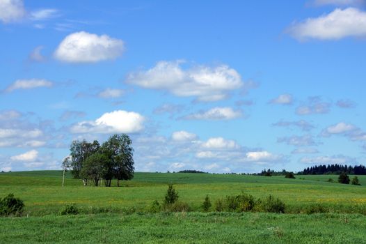 Landscape with the cloudy sky and plants