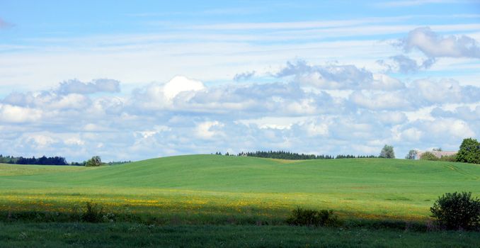 Meadow and clouds on a background of the sky