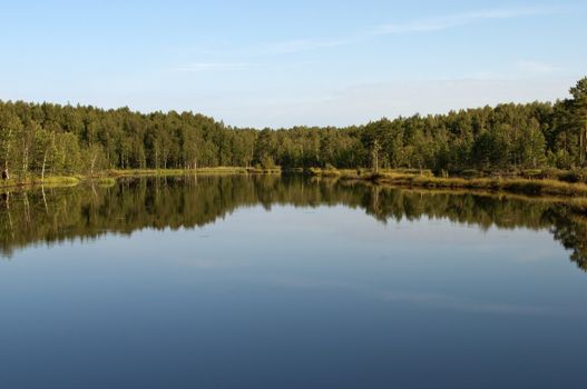 Forest lake in the early summer morning