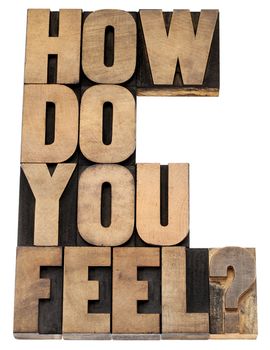 how do you feel question - isolated tex in vintage letterpress wood type