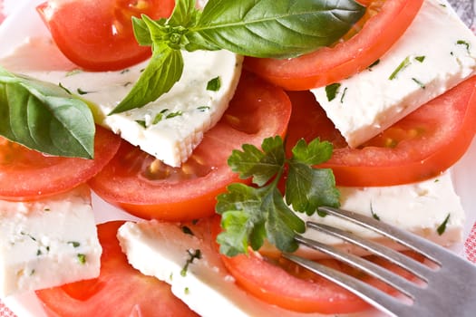 Healthy salad made from tomatoes with cottage cheese