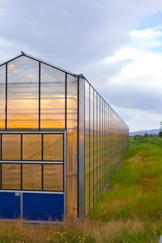 Shining greenhouse geothermal heated, Hveragerdi, south Iceland. Vertical view