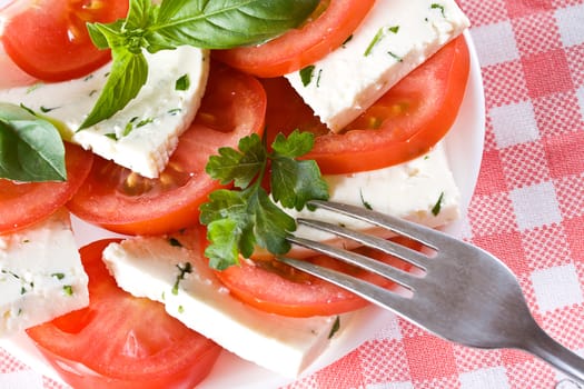 Healthy salad made from tomatoes with cottage cheese