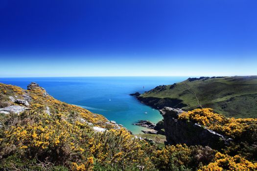 Starehole Bay South Devon English Channel England UK