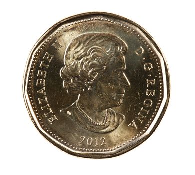 A brand new 2012 shiny Canadian dollar coin with the Queen Elizabeth portrait