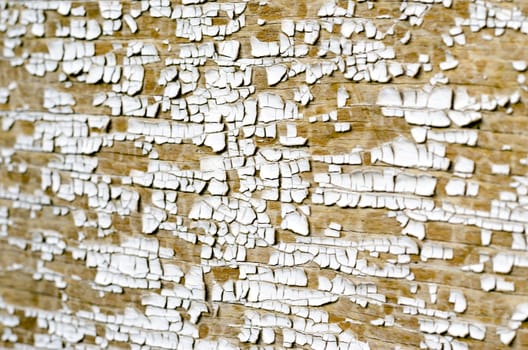 Background texture of white cracked paint on wooden surface. 