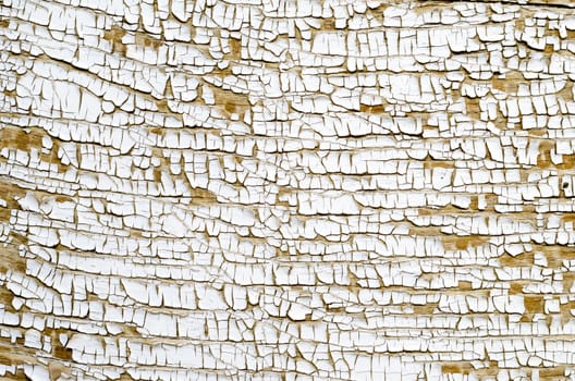 Background texture of white cracked paint on wooden surface. 