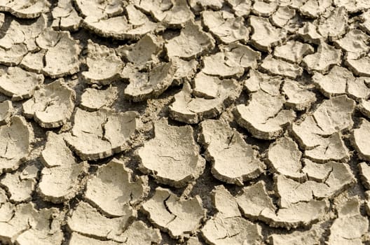 Close up texture of dry and cracked earth.