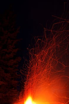 Hot orange spark trails bursting up from big bonfire threatening to ignite coniferous tree in background