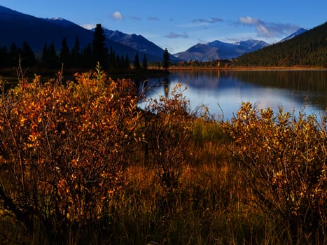 Fall colored willows at the shore of beautiful scenic Lapie Lake Yukon Territory Canada