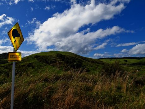 New Zealand Road Sign Rural farmland landscape with Attention Kiwi Crossing warning motorist to watch out for this endangered icon of NZ